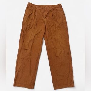 Women's Brown Plus Size Trousers